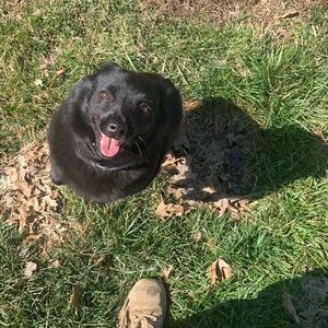 Meet your Posher, James